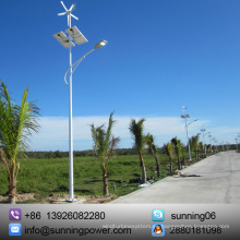 Sunning 300W 12 / 24V Recursos de energía renovable